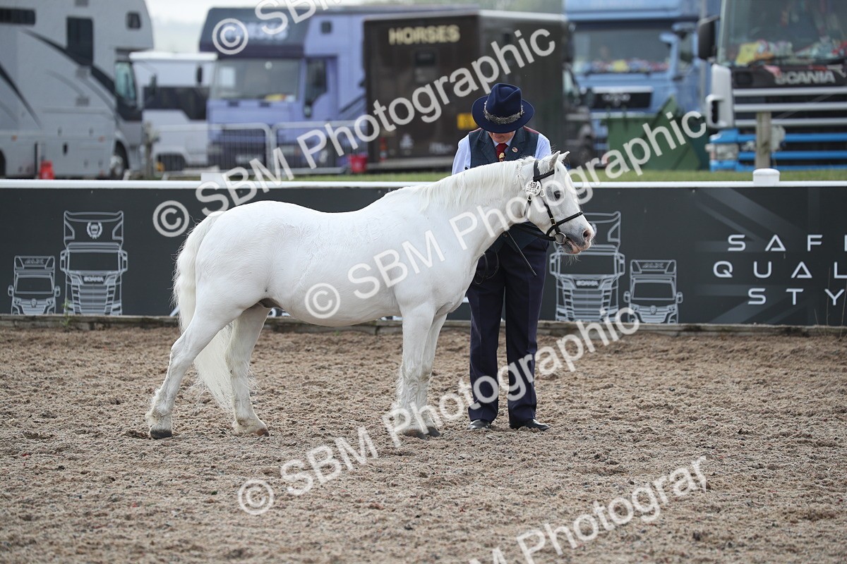 SBM_23116 - Class 605 - 2025 Area - IH Veteran