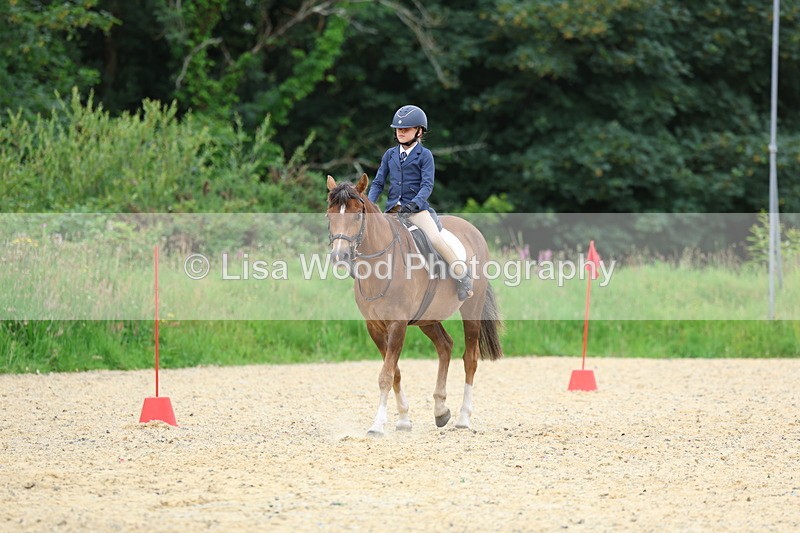 3E7A9539 - Walk trot run