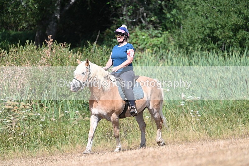 WJ7_8566 - Time 12:51 to 12:55
