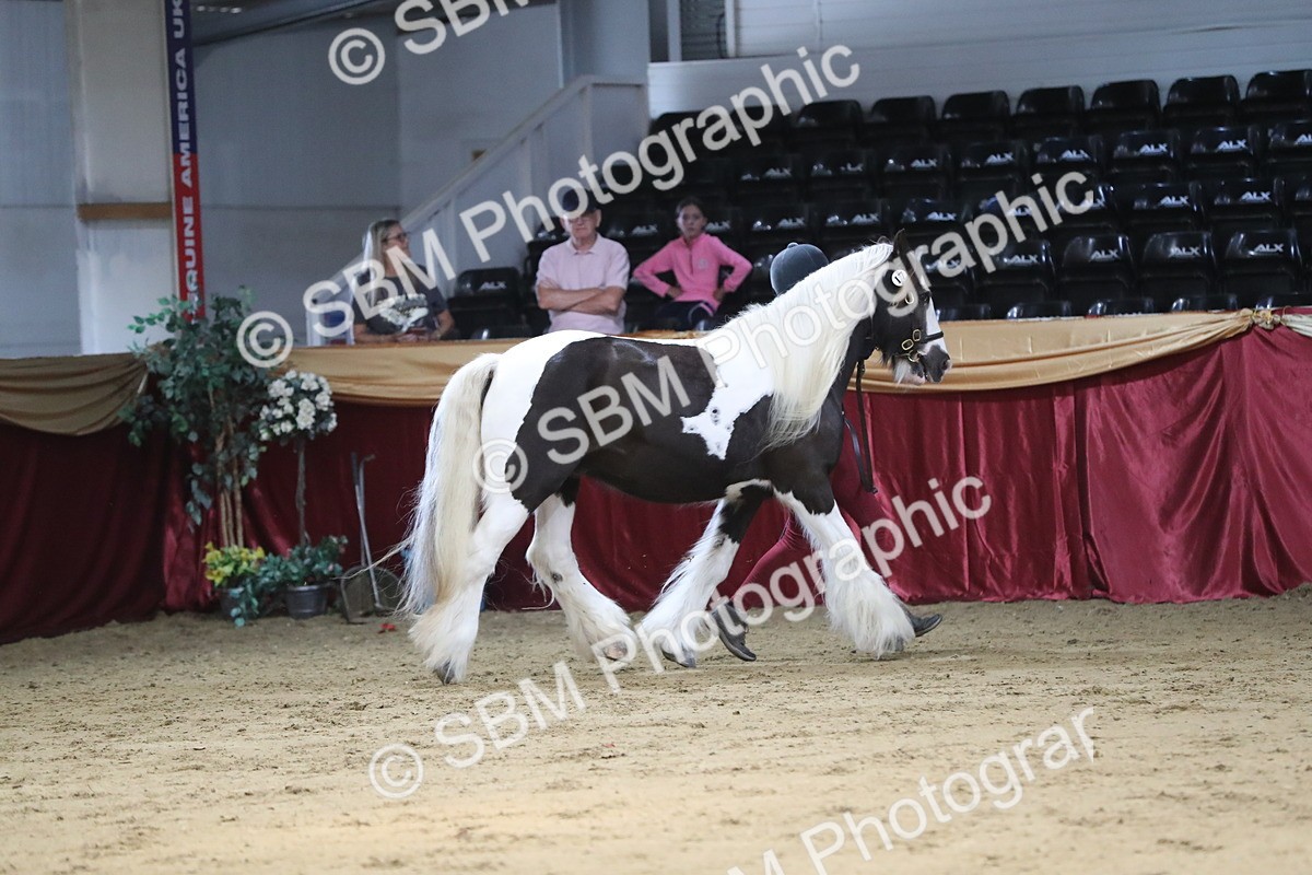 SBM_06240 - Class 9R Regional- IH Pre Vet