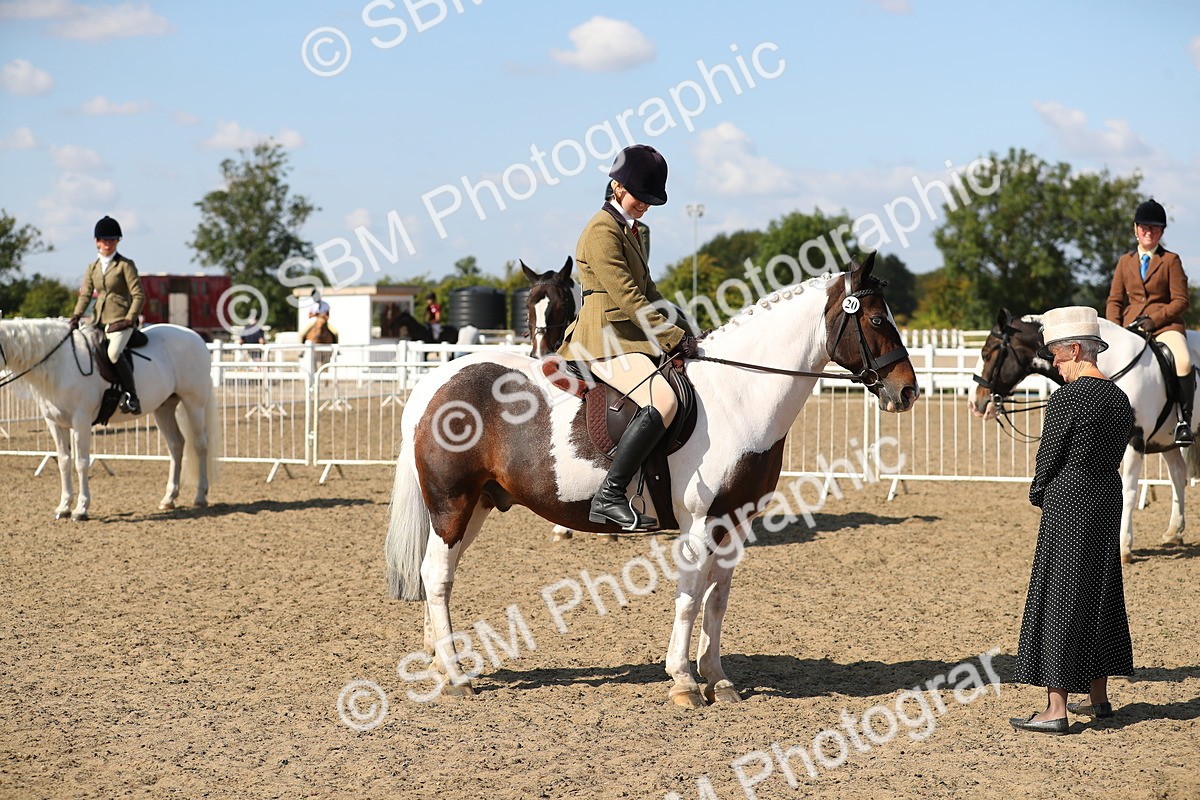 SBM_03241 - Class 44 Riding Club Horse/ Pony