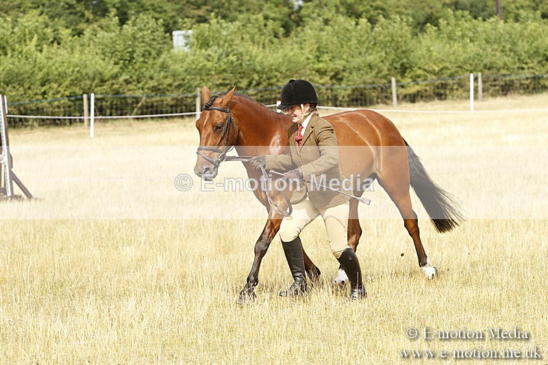 _BS_0510 - BVRC Show 2018 Ring 3