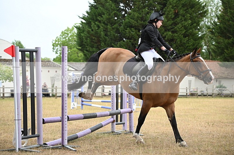 WJ6_0170 - Class 13 Novice Jumping 60cm