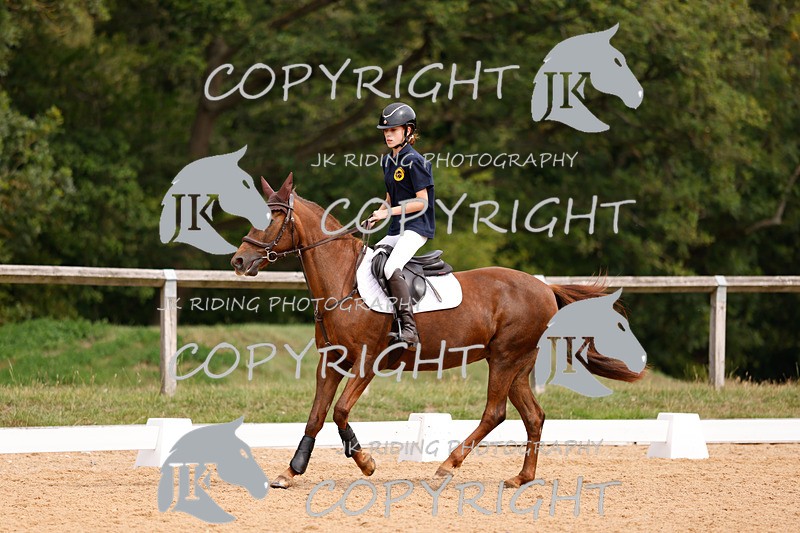 _R6A2527 - Dressage Morning