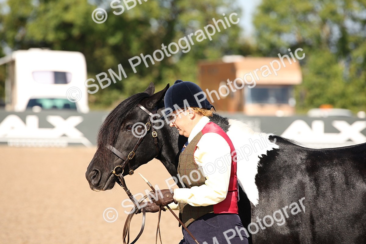 SBM_01528