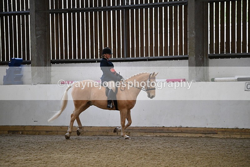 WJ5_6457 - Class 9 Ridden Veteran