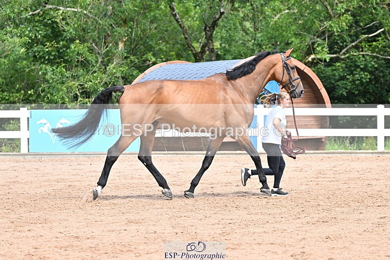 240718A-105247-01151 - Trot Up 12pm to 1pm