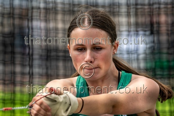 SIAB23-913401 - Field Female Set One