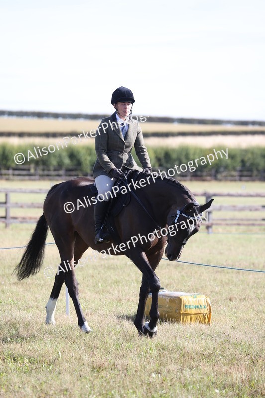 20260906-0349 - Class 14 - Ex Racehorse
