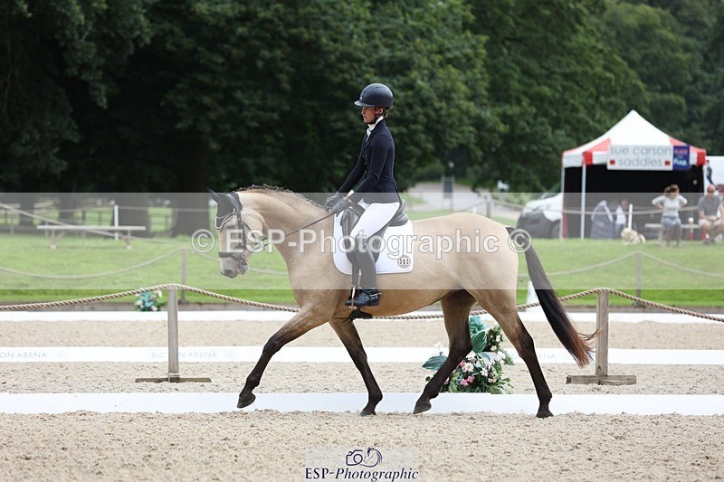 230813-115312-06968 - Cls 11 Elem Bronze 11.10 to 12.20 break