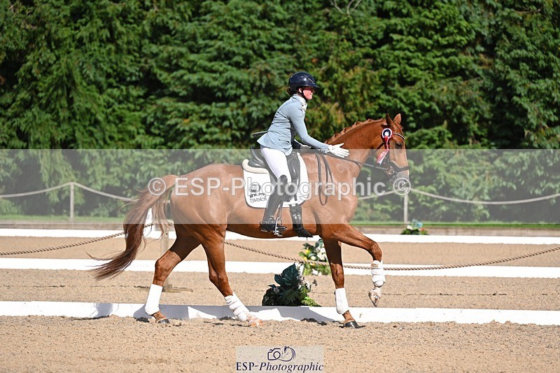 240809-163609-02418 - Novice Gold