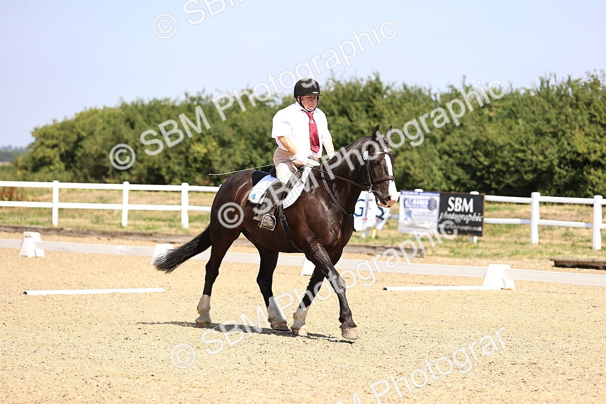 SBM_003606 - Intro 2