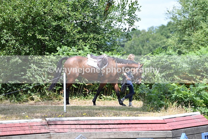 WJ5_0040 - Time 12:30 to 13:00