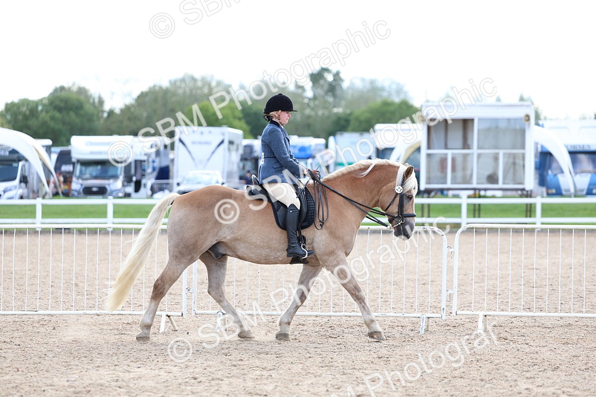SBM_17074 - Class 315 - Best Horse - Rider Combination