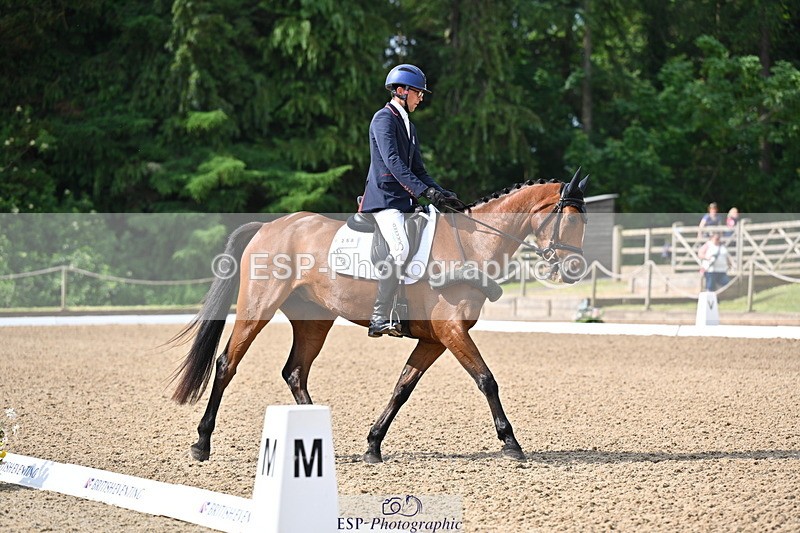 250523A-094125-05310 - C-258-Bill.Levett-ITALIAN.HARLEQUIN.NJ