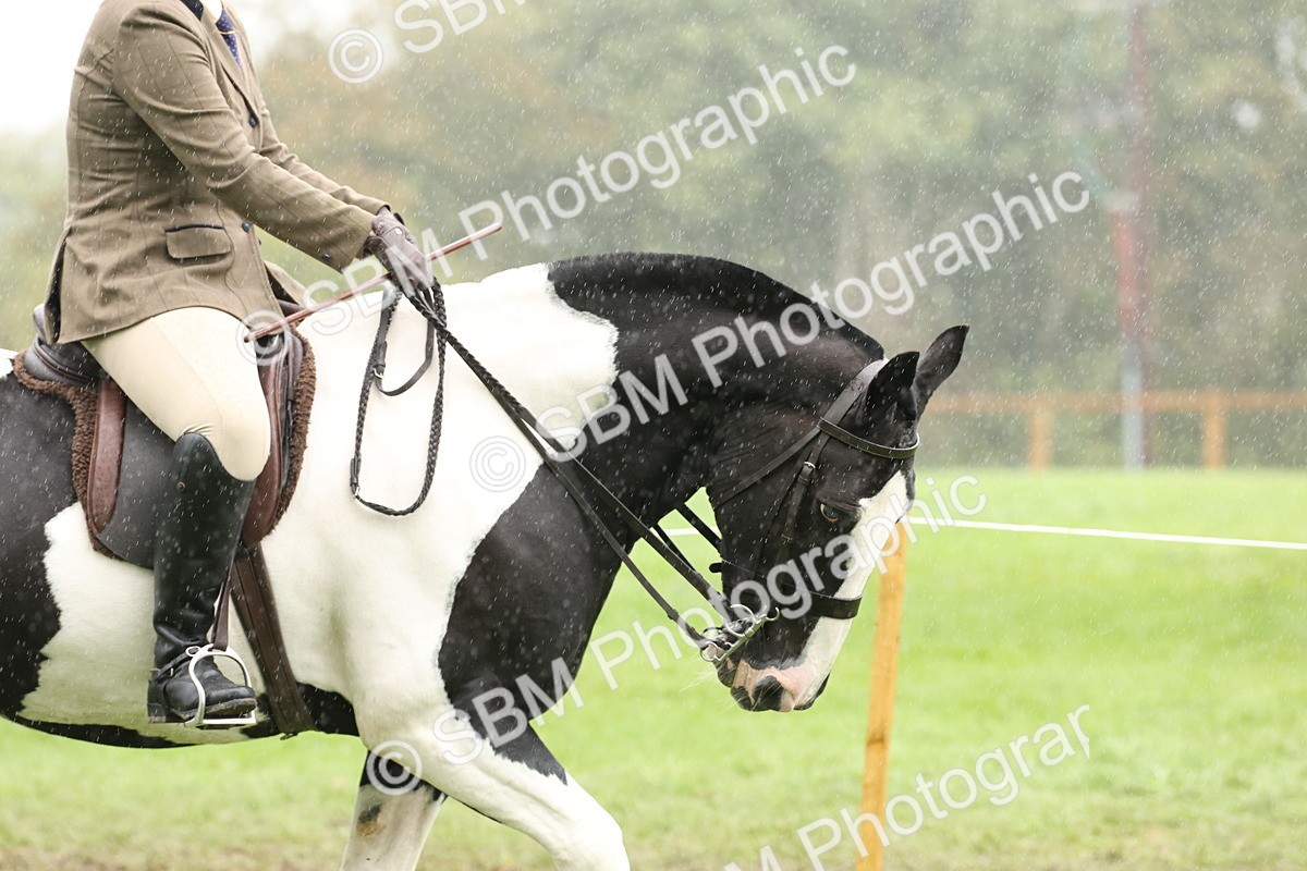 SBM_69782 - S69 - Show Cob Ridden