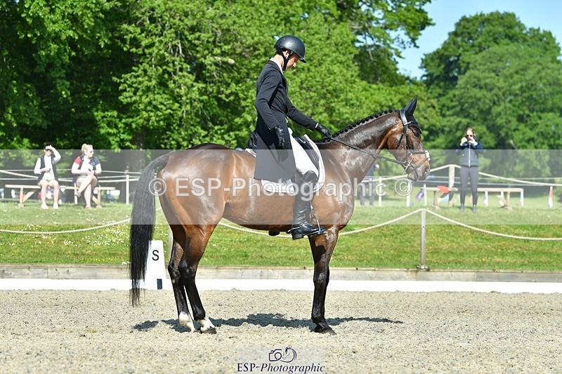 230525-092435-03736 - 405-MATTERHORN_RISING-Arthur_Duffort-DR