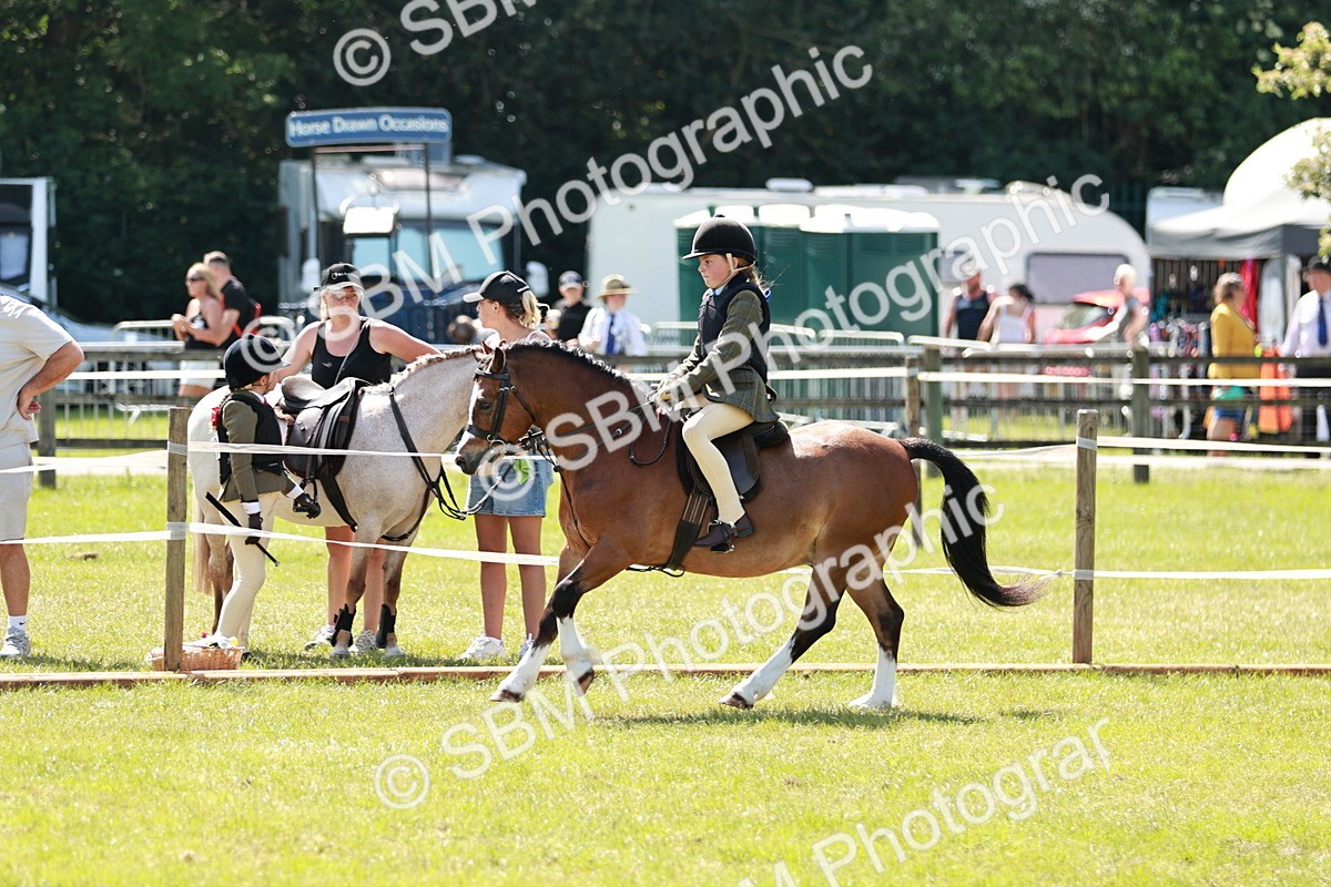 SBM_13566 - Class 108-109 - BSPS LIHS Open Gradle & Nursery Stakes