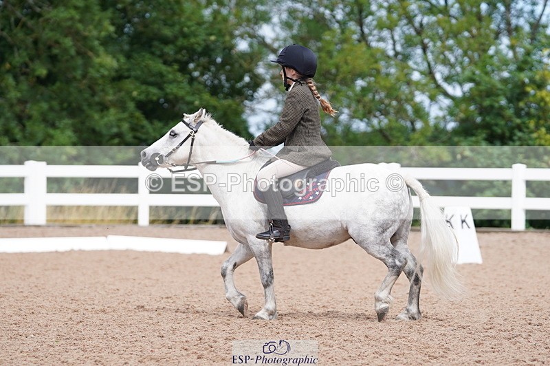 240809A-104532-00651 - Dressage Competition