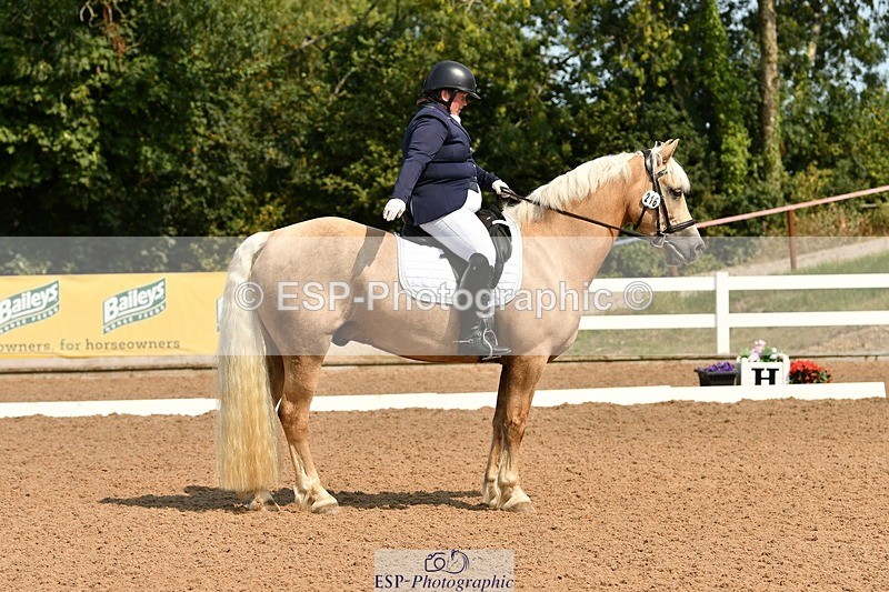 250817-113010-08613 - 216-Chloe.WaltonHaytors.Lord.of.the.Dance