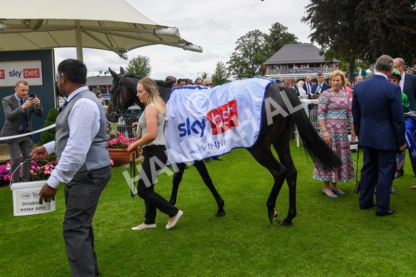240823-Race 1-Relief Rally-0124 - Race 1 1.50pm Sky Bet Lowther Stakes