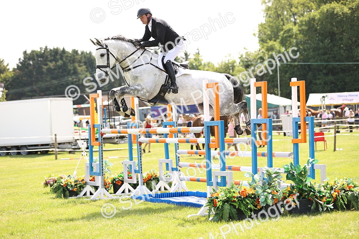 SBM_03281 - Class 201 - British Horse Feedds Speedi Beet HOYS Grade C