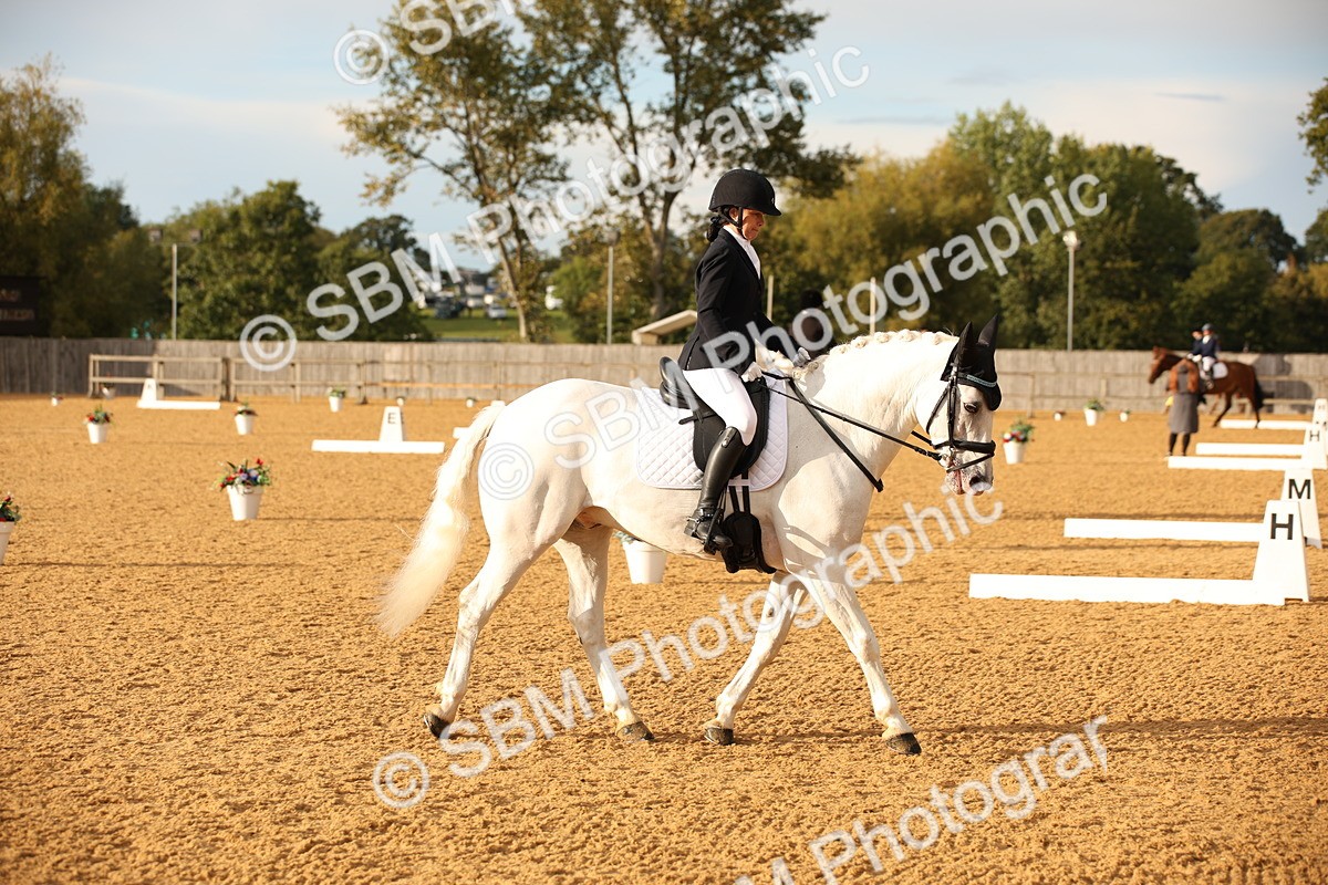 SBM_12423 - D3 Small  Tour Championship Intro A