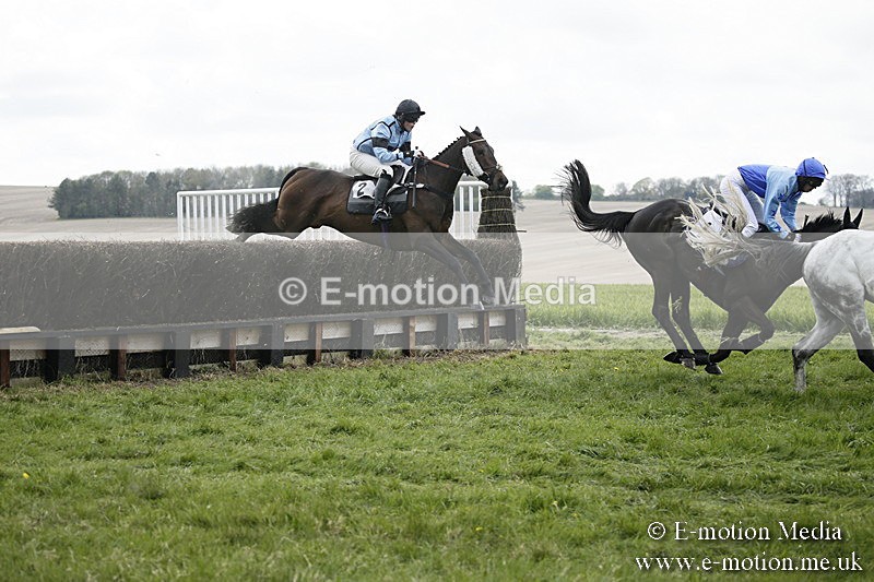 PtP 170417 98 - Old Berks Point-to-Point Lockinge 17/04/17