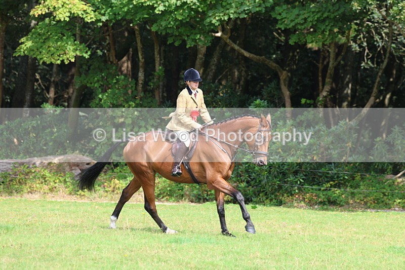 3E7A6060 - Working Hunter Championship