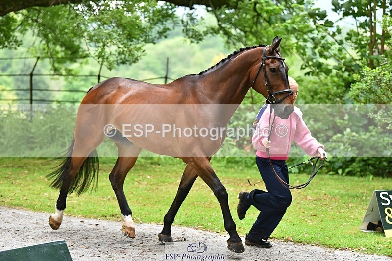 240522-163308-00997 - 211-THE_CLASSIC_COMPOSER-Rosie_Ringer