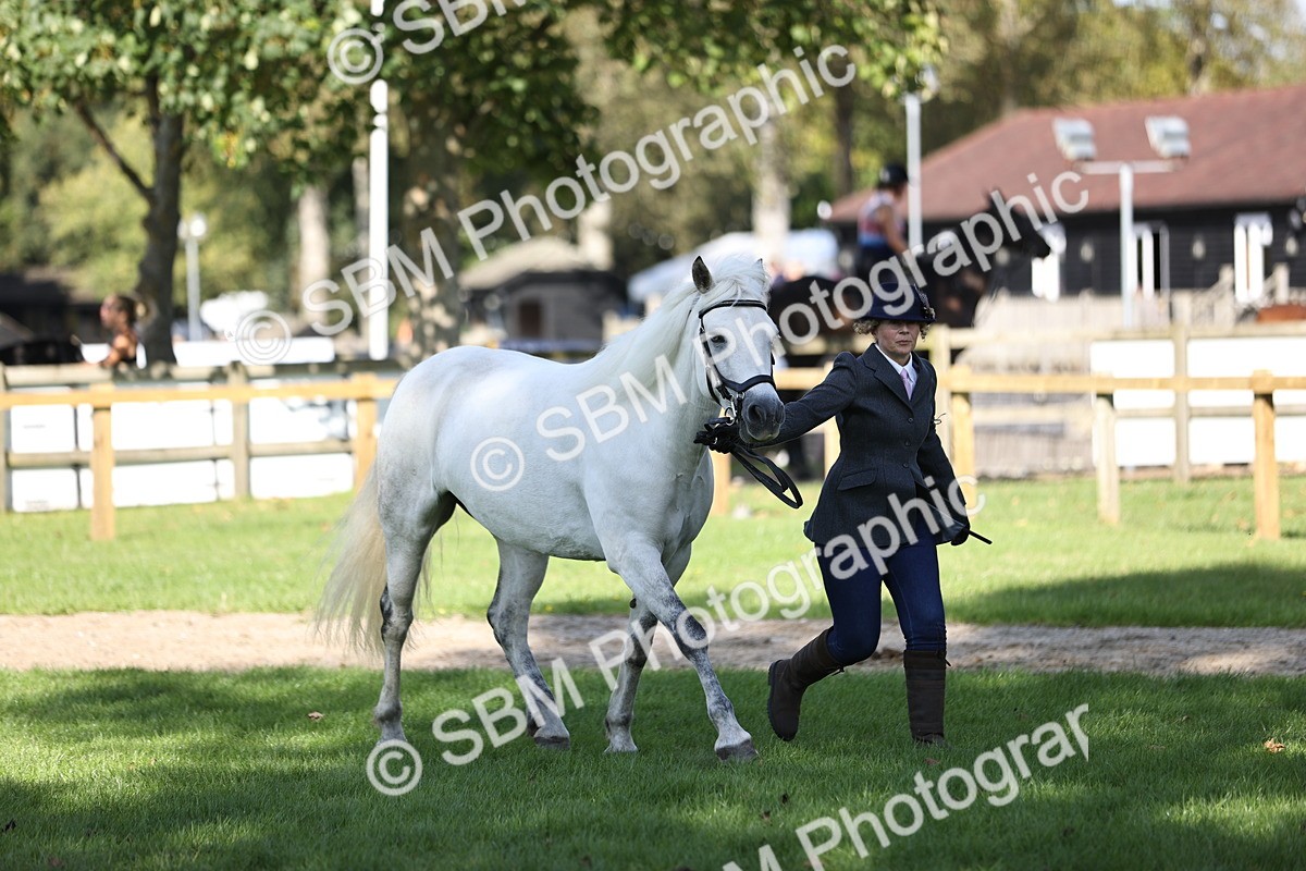 SBM_26201 - S5 - Novice & Newcomers In Hand