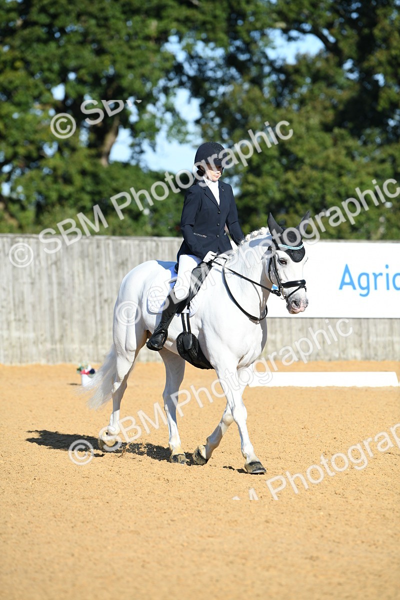 SBM_16105 - D4 - Small Tour Championship - Intro B