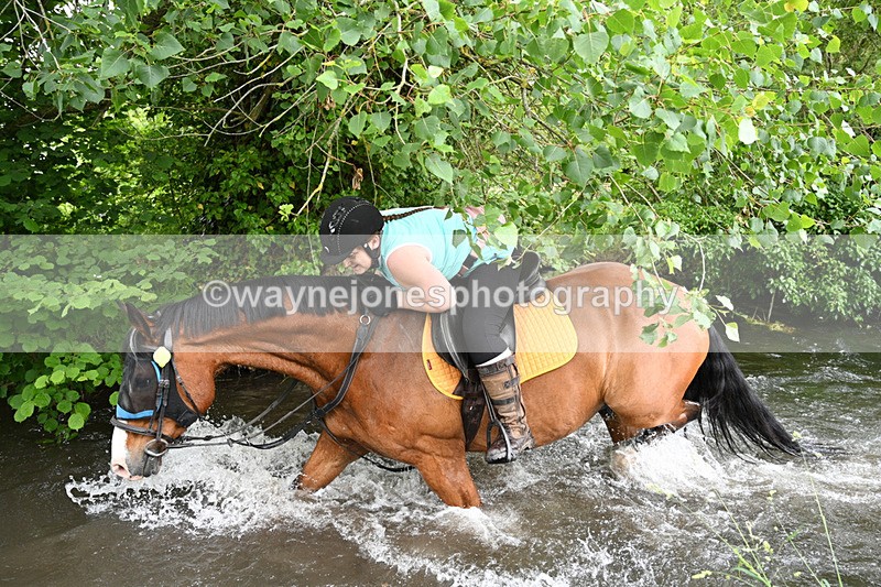 WJ7_2488 - Camera 2 Water Crossing