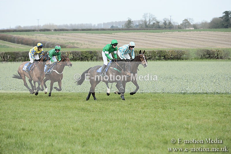 PtP 230319 173 - VWH Hunt Siddington Point-to-Point Racing 23/03/19