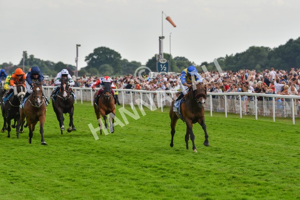 170623-Race 7-The Green Man-7498 - Race 7 5.25pm Clean Up With PPS Handicap