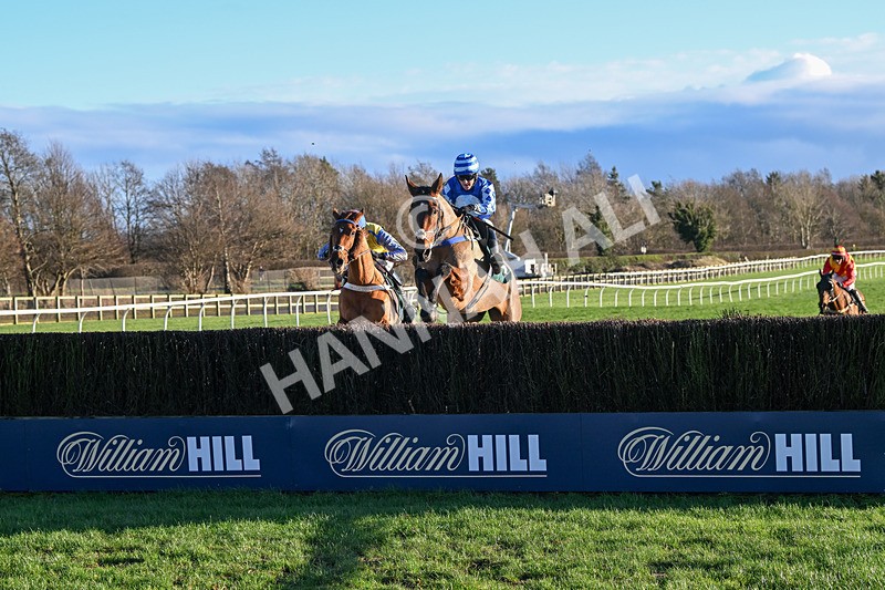 010125-Race 2-Beat The Edge-5856 - Race 2