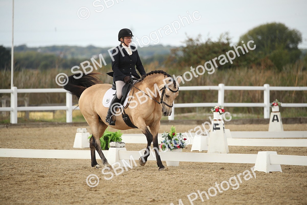 SBM_003100 - Class 6 - Elementary 5 - 14.50-15.46