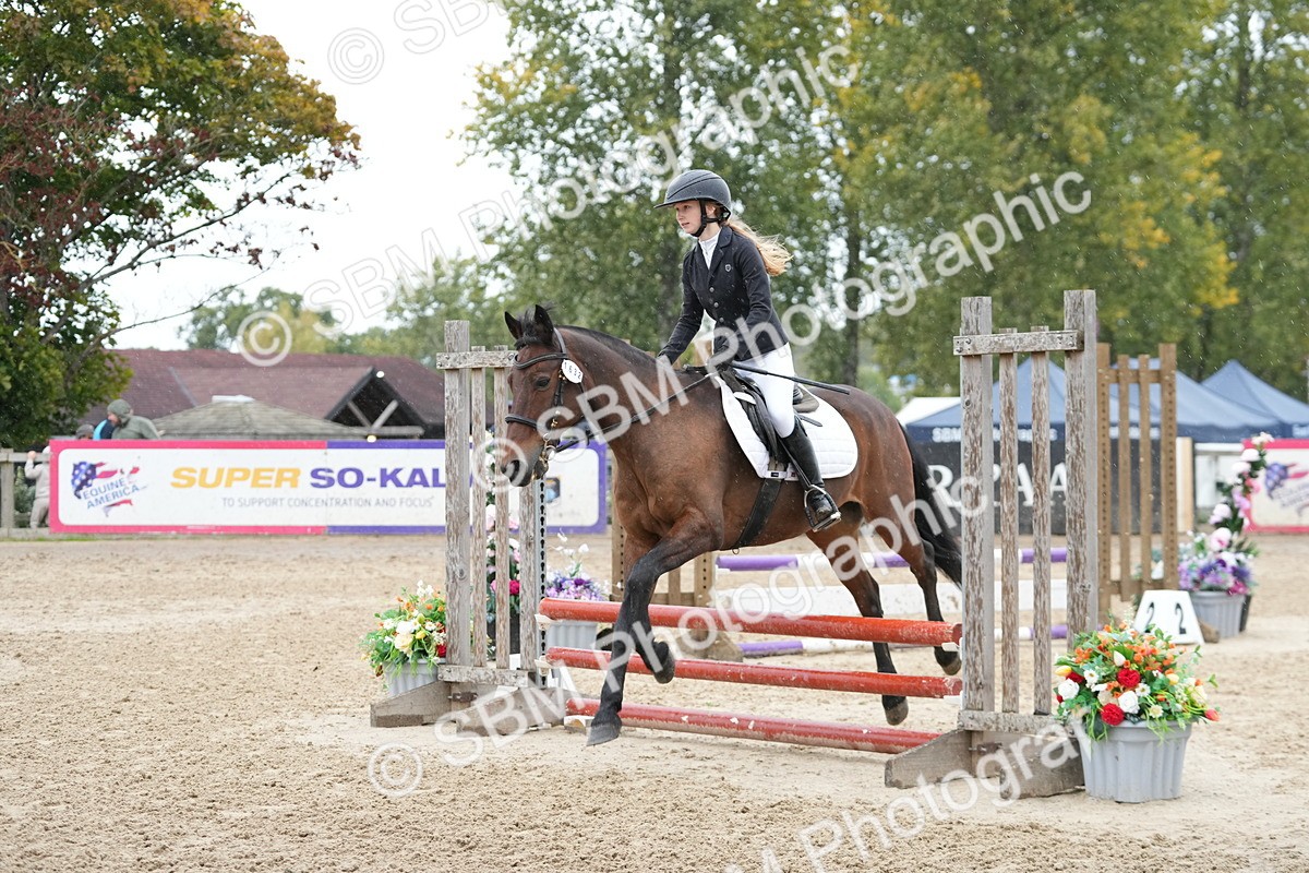 SBM_43169 - J7 - Junior Pony 60cm Championship