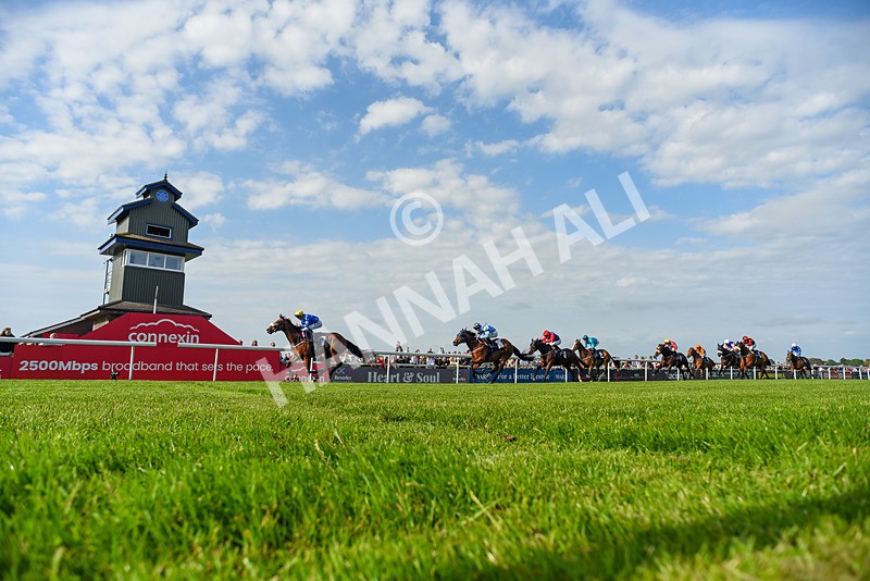 270526-Race 7-King Of The Jungle-3280 - Race 7 17.20pm Racing Again This Saturday Apprentice Handicap