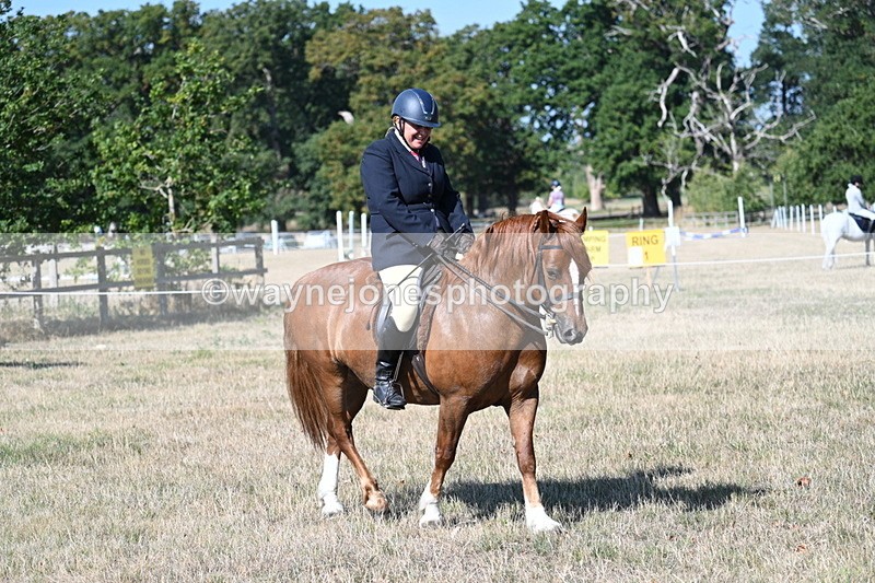 WJ7_3499 - Class 9 Mountain & Moorland Ridden