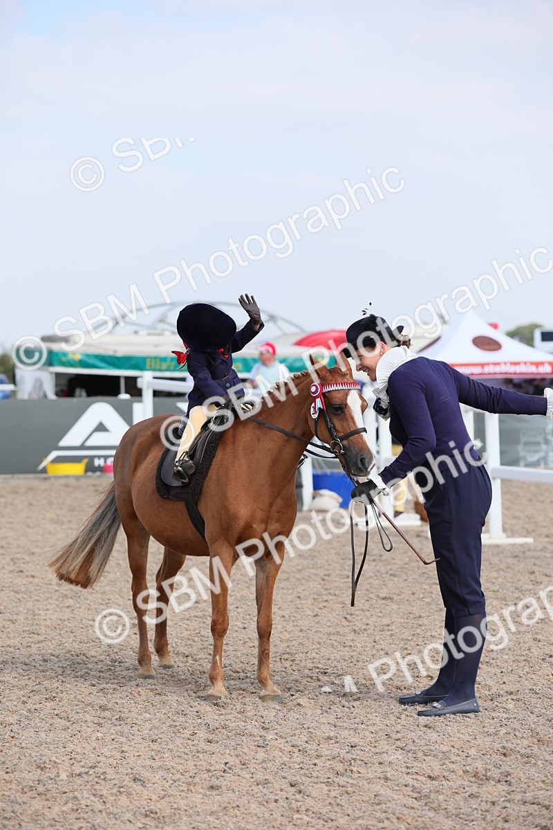 SBM_14010 - Class 309 Lead Rein Pony