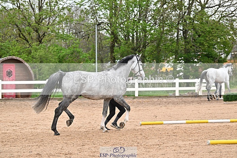 250423-161955-02116 - 4pm to 5pm