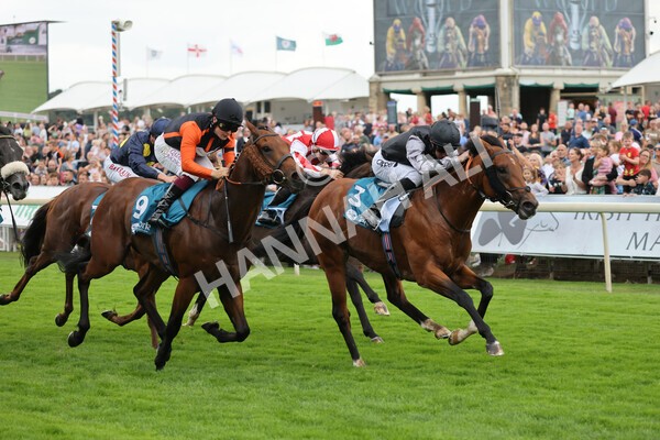 yr04092022r2-29 - Race 2 2.20pm John and Judith Marshall Memorial Stakes