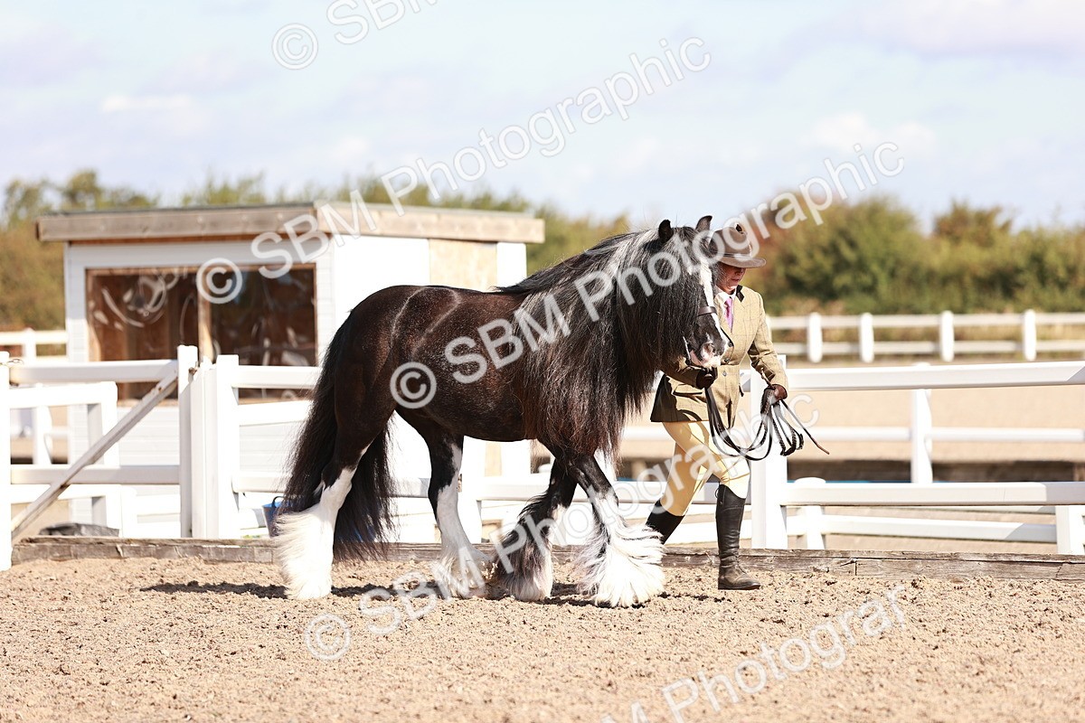 SBM_12565 - Class 404 - IH Traditional - Native Cob