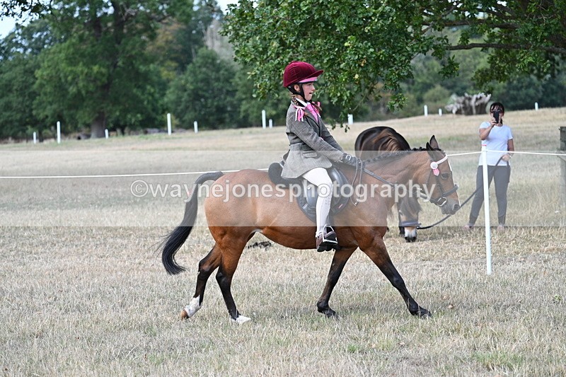 WJ7_6419 - Class 13 Ridden Veterans
