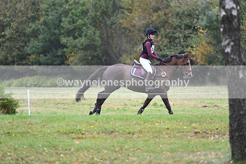 WJ7_1483 - 80cm Cam 2 Water Time 11:47 to 12:17