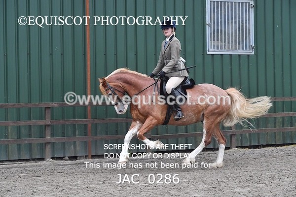 JAC_0286 - CLASS 4 BSPS Scone Palace HT Training Stakes Series (0.60m