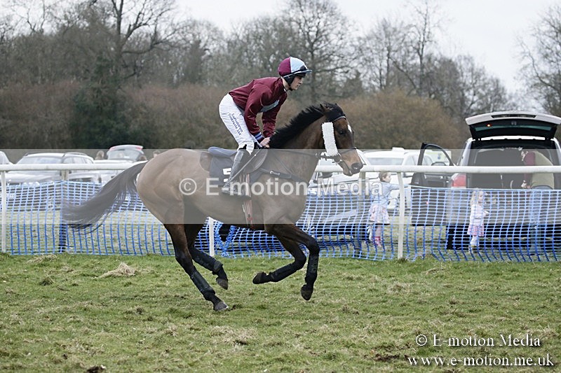 PtP 110318 529 - Hampshire Hunt Point-to-Point Hackwood Park 11/03/18