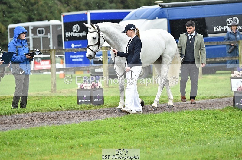 231018-125110-00566 - 072-CARROW.IROKO-Alice.England-TrotUp