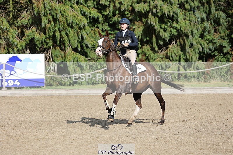 250803A-170912-17758 - R-821-Josephine.Grey-GEMMASTON.ALL.THAT.GLITTERS